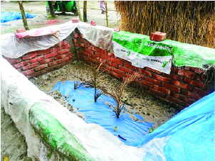 Image of আব্দুল আহাদ সৈকত